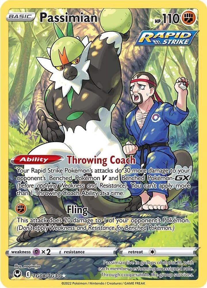 Passimian TG08/TG30 Silver Tempest Trainer Gallery